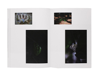 book-17