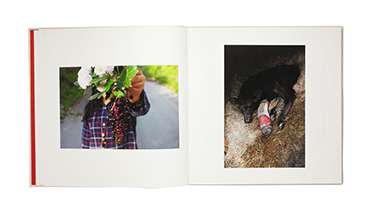 book-04